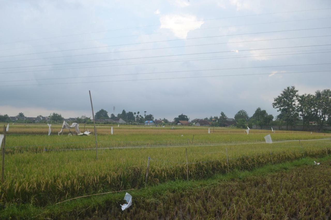 Rumah Kayu Yogyakarta Dış mekan fotoğraf